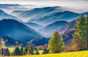 Schwarzwaldpanorama