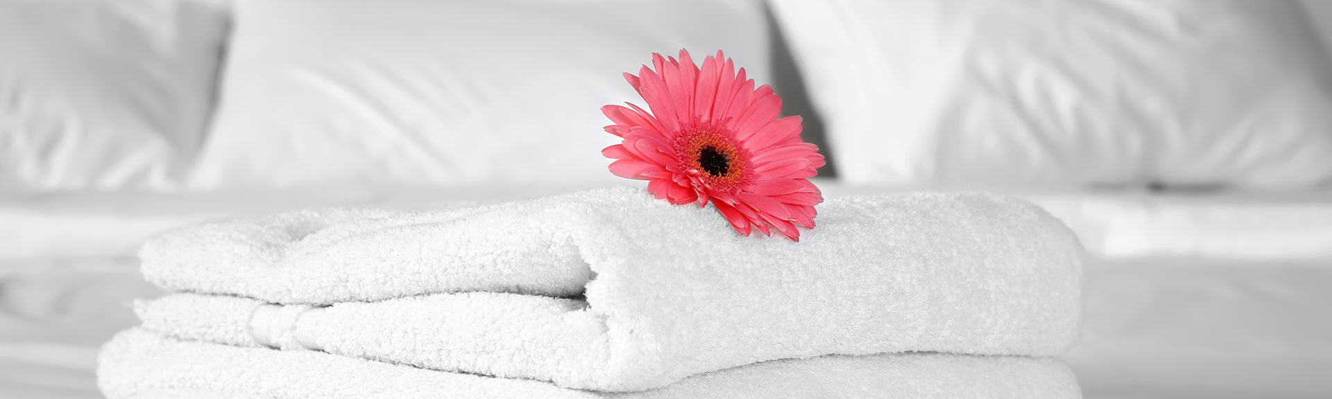 weiße Handtücher auf einem Hotelbett mit einer Blume