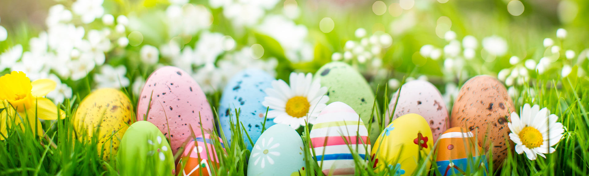 colorful easter eggs on a flower meadow