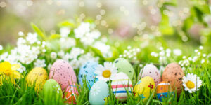 colorful easter eggs on a flower meadow