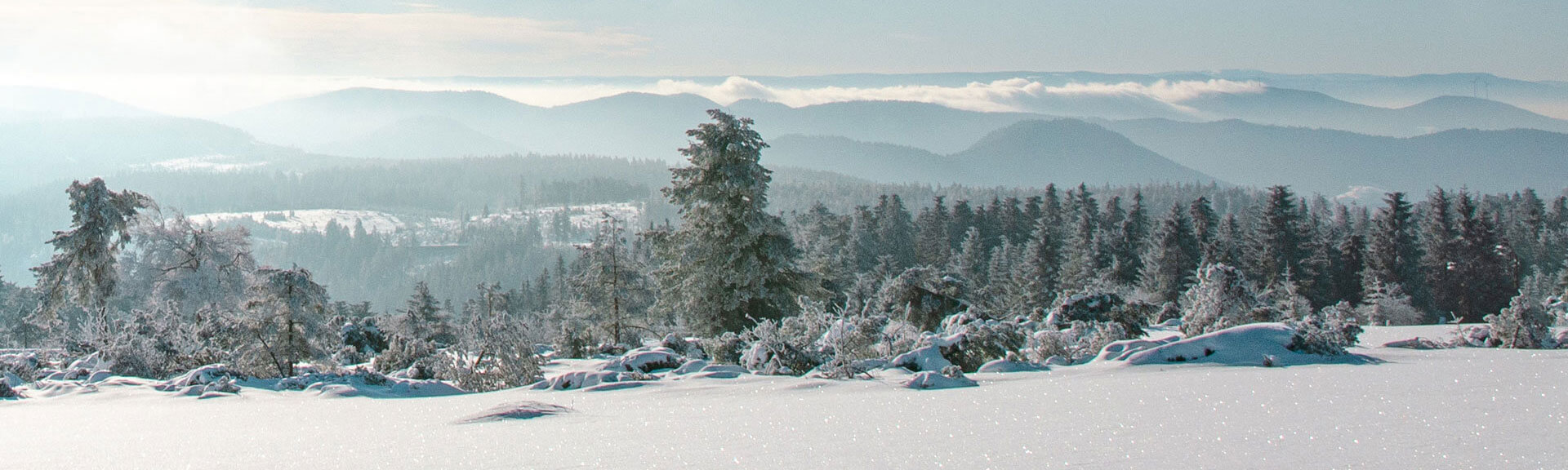 verschneite Landschaft im Winter im Schwarzwald